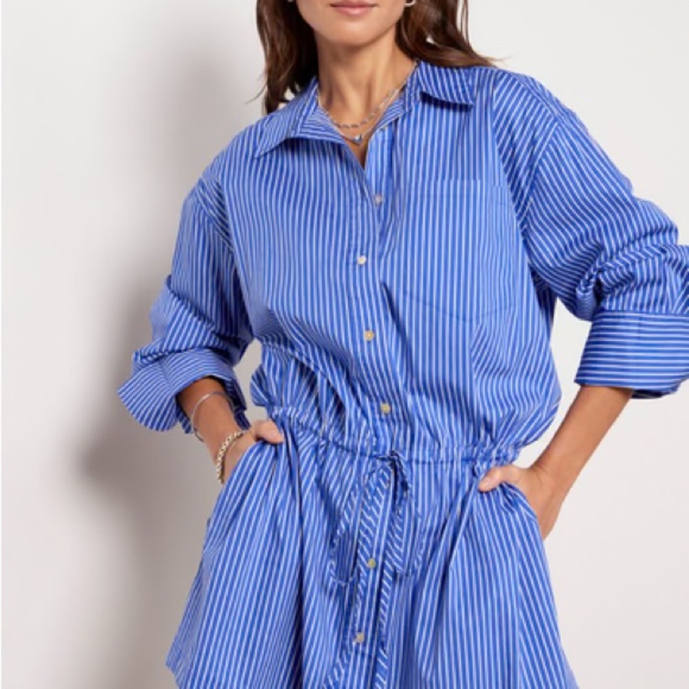 Pistola Lucinda Dress - Ultramarine Stripe